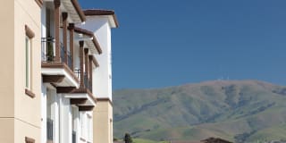 Senior Housing- Palmia, Age 55+ Luxury Apartments Gallery 48