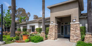 Camino Real Gallery 13