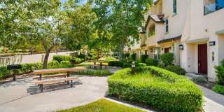 2703 Apricot Ct Gallery 2