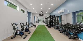 Modera Lacey Gallery 11