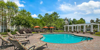 Palmetto Creek Gallery 19