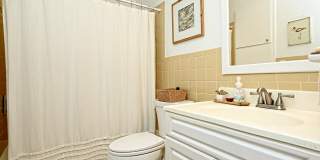 1308 Radam Circle Gallery 4