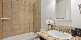 University Palms Gallery 13