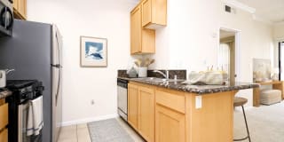 The Orsini Gallery 69