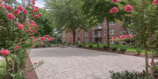 The Metropolitan Gallery 19