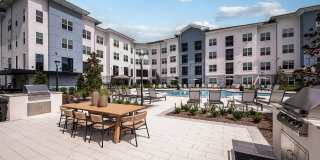 Arcadia 331 Gallery 48