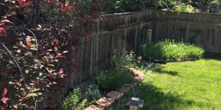 Adorable 2 bed/2 bath home in Southwest Longmont! Gallery 7