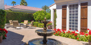 79365 Mandarina Gallery 46