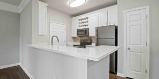 Lake Clearwater Gallery 53