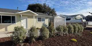 1339 Newport Avenue Gallery 1