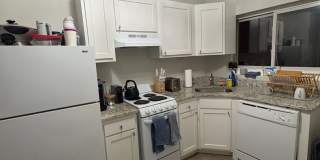 See YT Video!  No Fee!  Huge & Sunny Apt near Ts & Cleveland Cirlce.  Cat Friendly Gallery 7