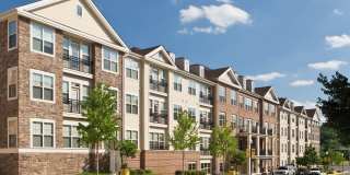 Windsor Leesburg Gallery 2