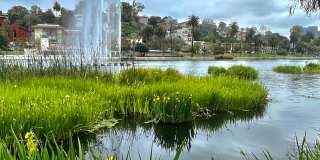 1072 Laguna Avenue Gallery 10