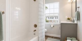 Village of Carrollwood Gallery 8