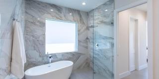 2889 Appaloosa Trail Gallery 17
