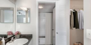 Palm Trace Landings Gallery 71