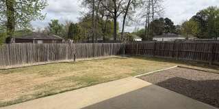 787 Mango Loop Gallery 41