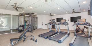 Trails Bend Gallery 6