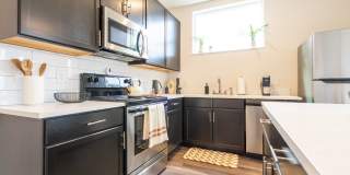 One41 Wellington Gallery 3