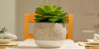 7310 Balboa Blvd Gallery 12