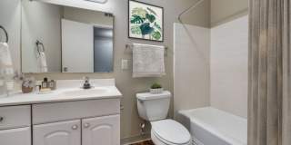 Cambridge Dorchester Apartments Gallery 35