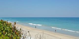 8880 N Sea Oaks Way unit: 208 Gallery 33