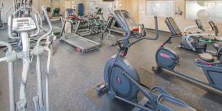 The Marque Gallery 27