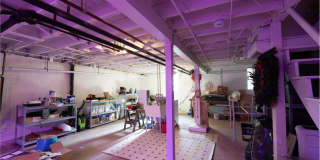 Oakenshawe 5-Bedroom, 2-Bathroom Home Close to Johns Hopkins Gallery 31