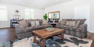 Ascent Apartments Gallery 2