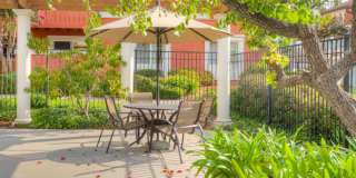 Peppertree Apartments Gallery 54