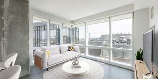 Pierce Boston Gallery 4