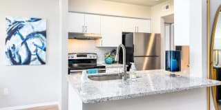 Vantage on Hillsborough Apartments Gallery 4