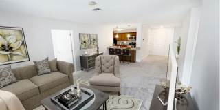 Grassfields Commons Gallery 6