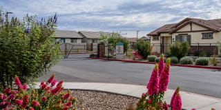 Village at Pioneer Park Gallery 33