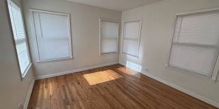 128 Corona Gallery 15