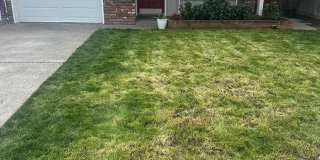 Remodelled Duplex With Lincoln Schools Gallery 1