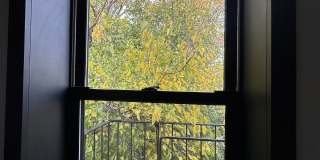 65 3rd Place Gallery 2