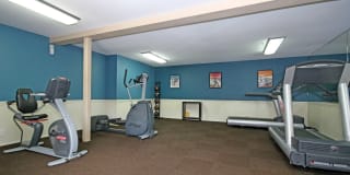 Ocean Crest Gallery 23