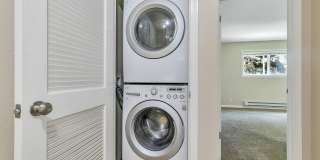 240 Union Ave Gallery 28