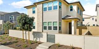 647 Gadwall 647 Gadwall Gallery 1