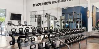 Kinsley Forest Gallery 18