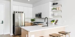 Hedges at Hawthorne Gallery 24