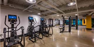 Halstead Burlington Gallery 6