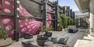 Fusion Hollywood Gallery 37