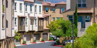 Arrow Vista Village Gallery 74