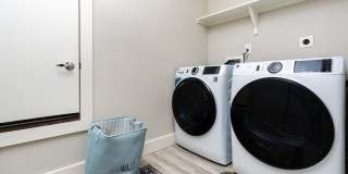 Mihir Taylor Gallery 17