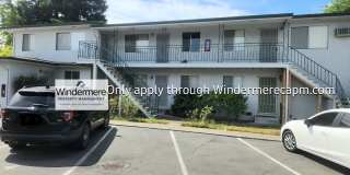 4421de Gallery 1