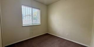 12118 ROYAL WOODS Drive Gallery 20