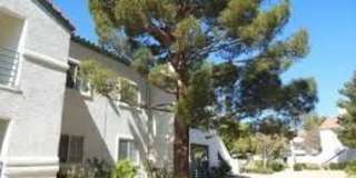 3450 Erva St #212 Gallery 1