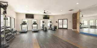 The Madrid Gallery 29